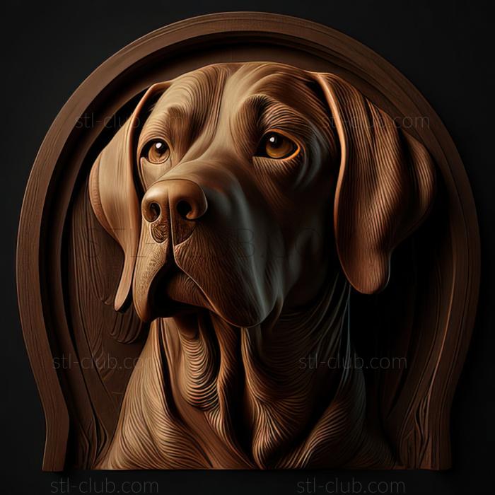 3D model st Coolies dog breed dog (STL)